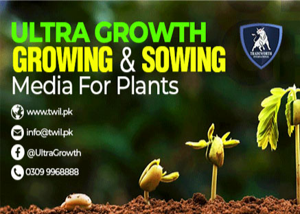 Ultra Growth Plant Supplier